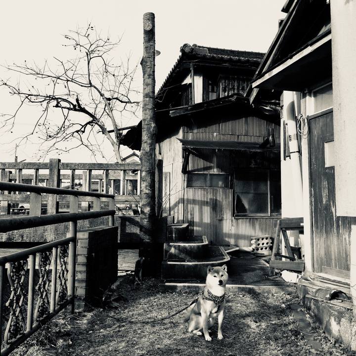 4f80c991 dfbd 4867 9a71 c61563e15e17 1517559255617