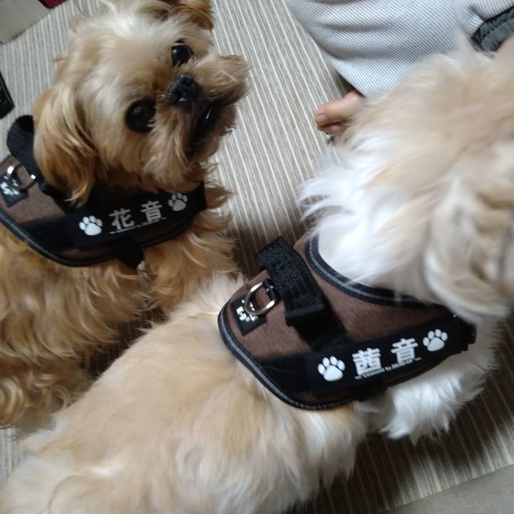 4f80d718 775f 4411 8b78 52e1cd53cda8 1605954873807