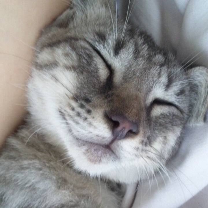 4f80d80b 0fd9 4c26 b511 05bc249efd5d 1590924739750