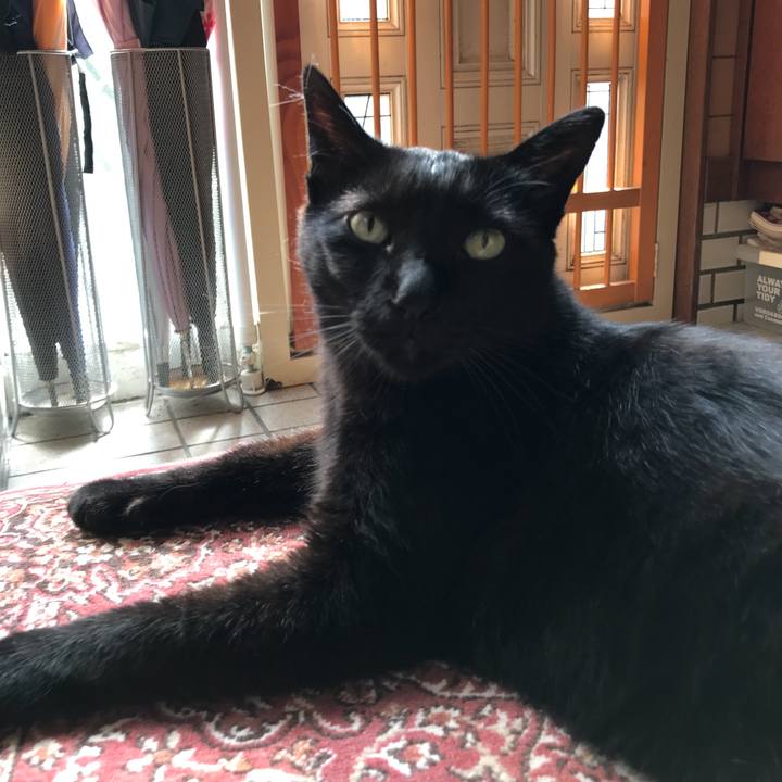 4f80ef90 5f9d 4d36 94af 63b590676ea2 1528507079282