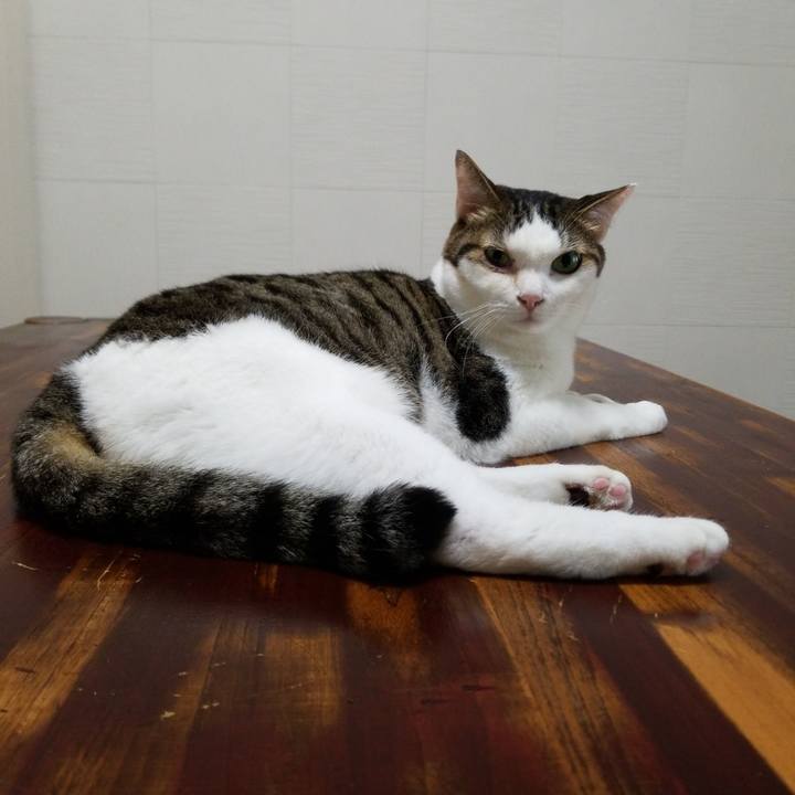 4f80fac9 051a 4f71 bdb0 15edaa42ae6a 1566337938695