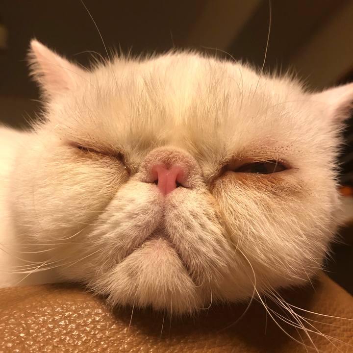 4f811d33 3c54 46bb a8f0 c831f500188c 1601556799466