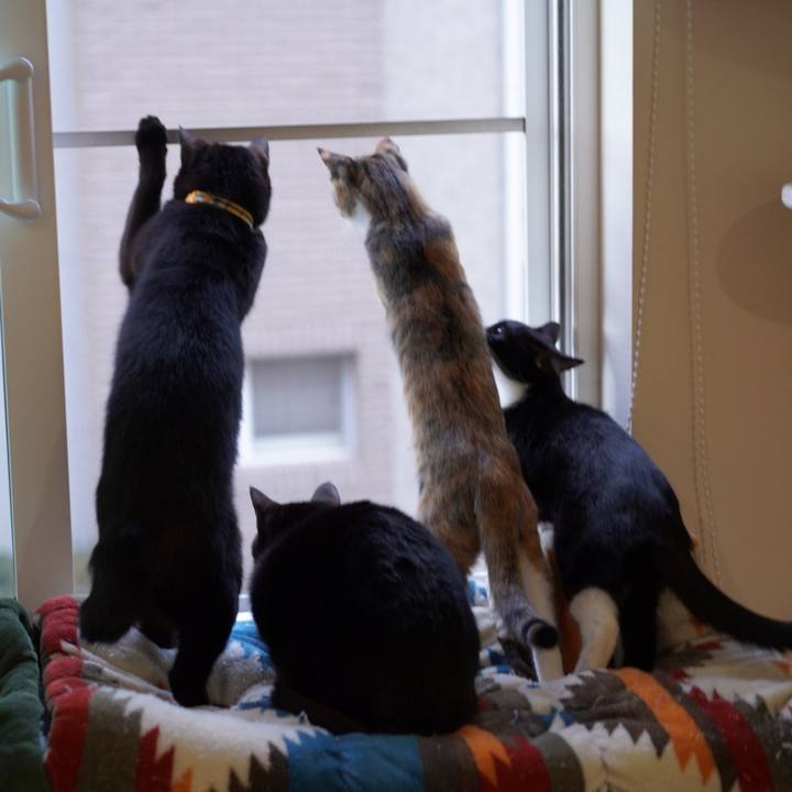 4f814210 7b5f 41dc be36 153336830c7c 1580427872910