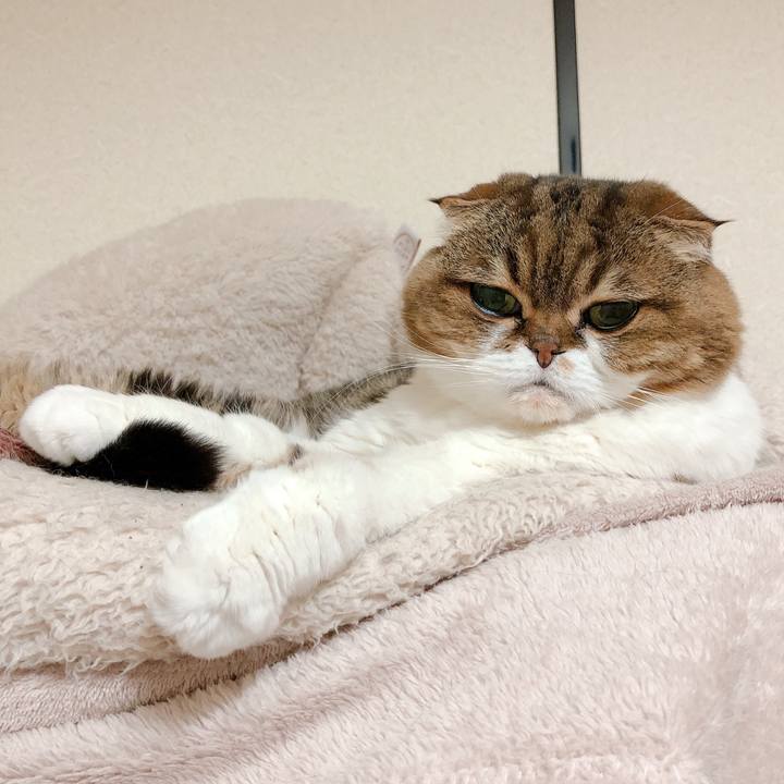 4f815a03 7d2a 4b36 adbf a45d098268db 1583494774769