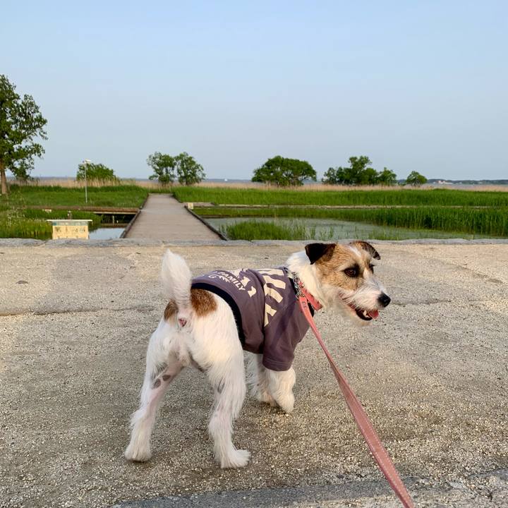 4f816518 0b47 4c12 86d2 1baa0c8f6518 1620192630880