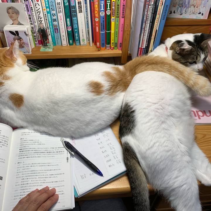 4f8188cf 1f02 4811 a5f9 7e2a06613198 1602193577630