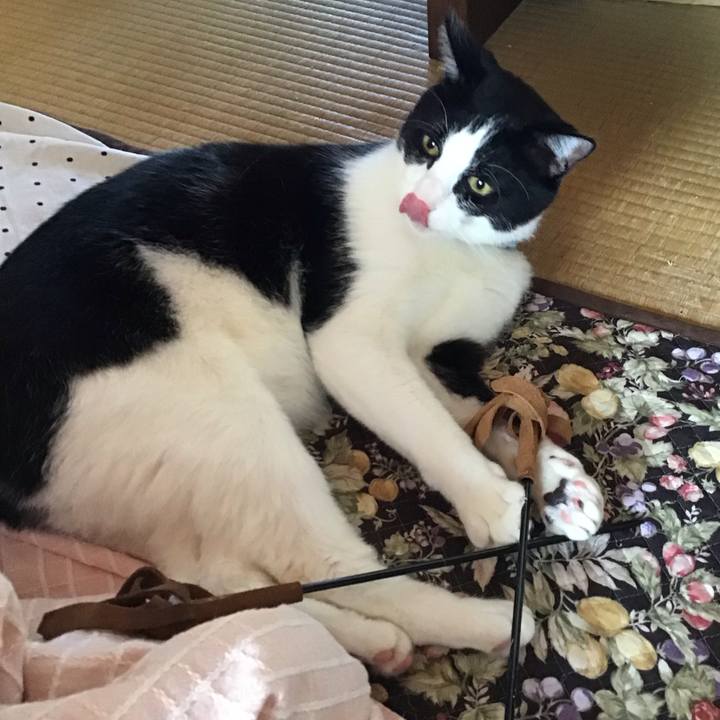 4f819d3c eac7 4cc2 ab95 05819bf8d88f 1683863684859