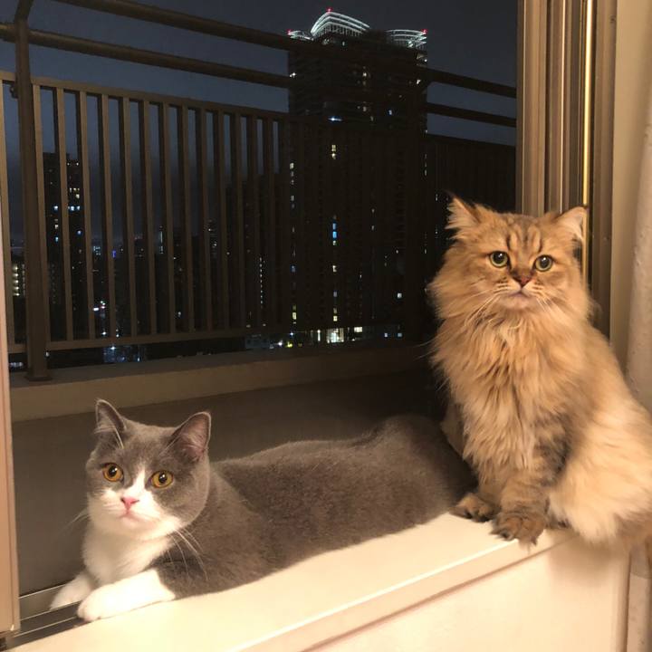 4f81a036 53d5 437a ab18 7cc69ad2ae1d 1537878914721