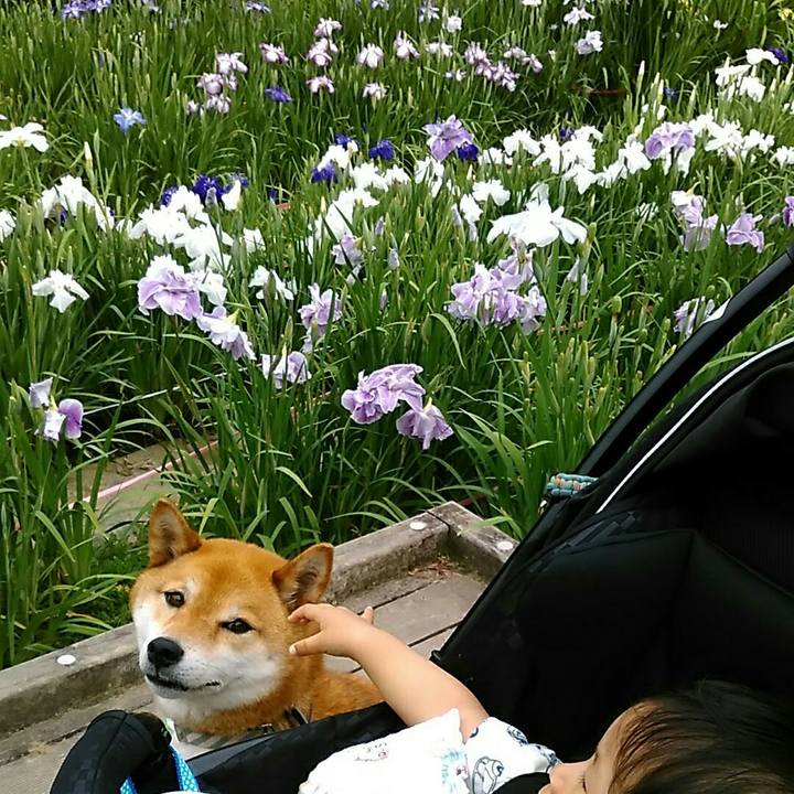 4f81b39e e9a2 495d a8f6 11cb8a9c6fa1 1560524271710