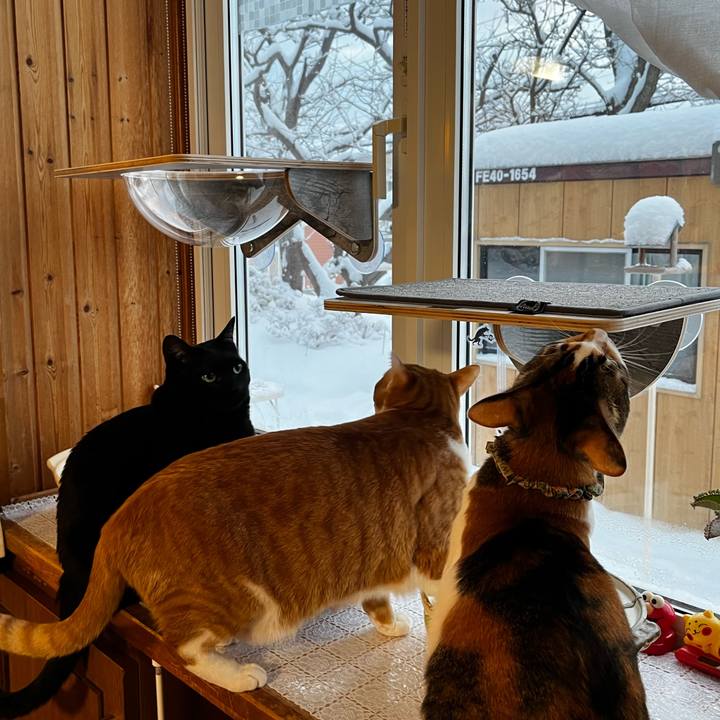 4f81b908 b1c2 4c48 b58d d5ca54e8a8c0 1703801822451