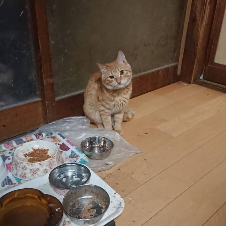 4f81f04c 25db 4995 918b 1369e9b9687a 1637751131142