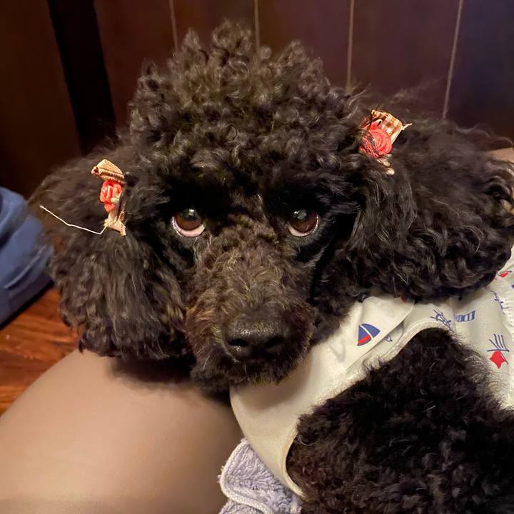 4f82002f 774f 47be 8450 e34a9f8b9ba2 1593830991050