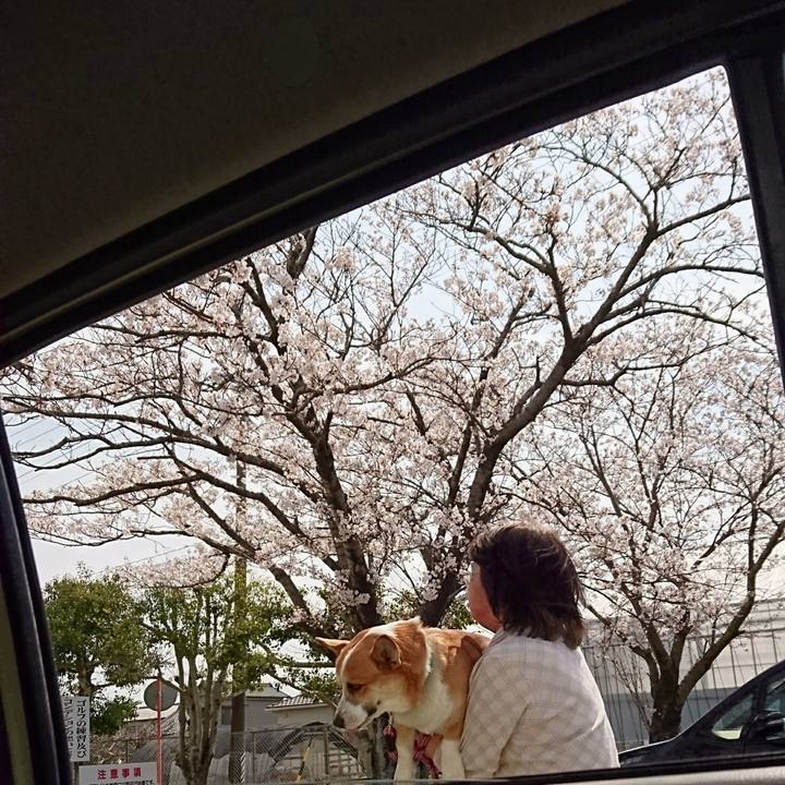 4f825cbe 3f06 4e61 a026 8d1cbd147205 1618104335447