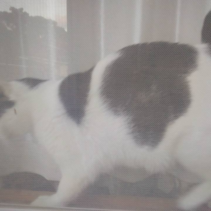 4f828e0a e7a8 469b a204 8f52bf771b17 1552300802920