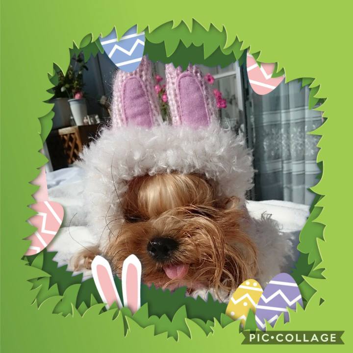 4f82b218 54b2 4238 a9bd da0cc5ac828d 1555834839702