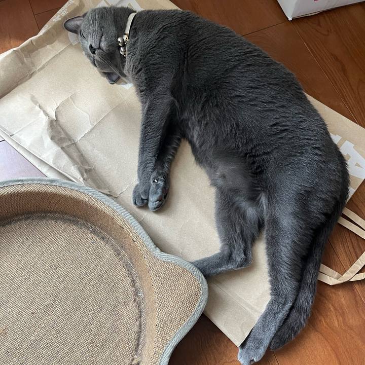 4f82c78a fcf4 43d0 be56 900c90c6d9fe 1720402154332