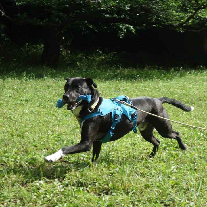 4f8318e5 c60b 4c7a 9960 f315bca74e77 1621901674110