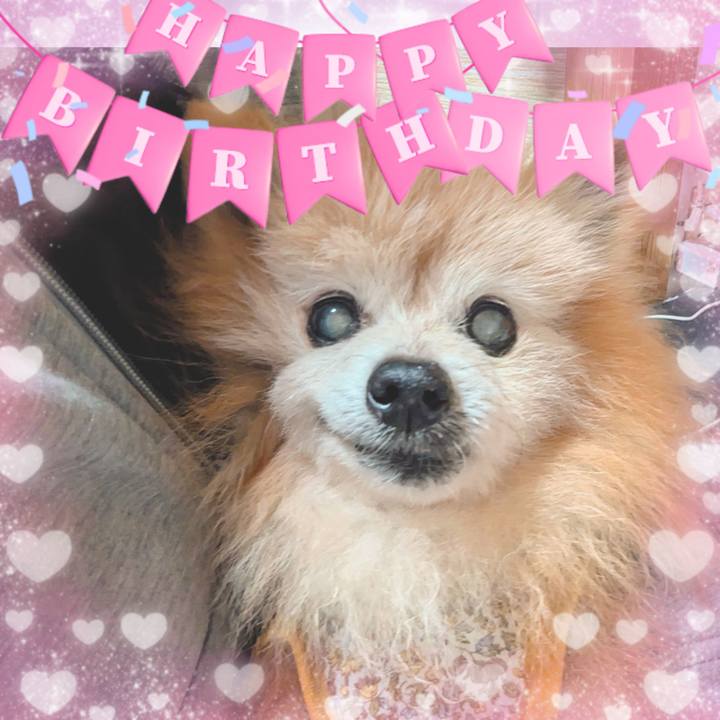 4f83ab18 4d53 41c5 9780 ce37de819ce1 1731972174762