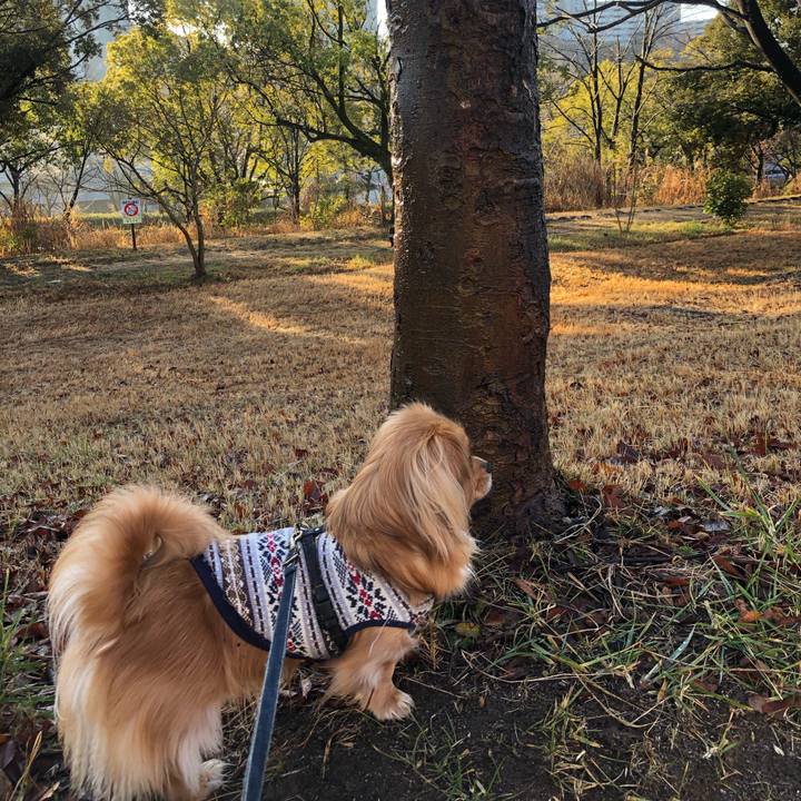 4f83c00b ada0 4f9d 9e6a 106c4f104040 1549242828822