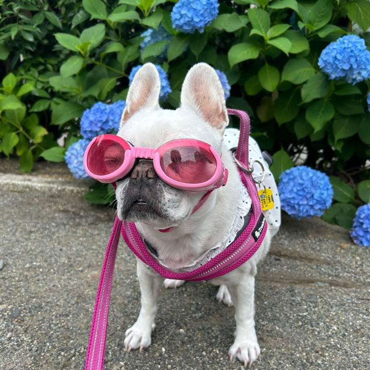 4f840a3a dcb8 4227 8e94 6021ba0a7bd1 1749269995559