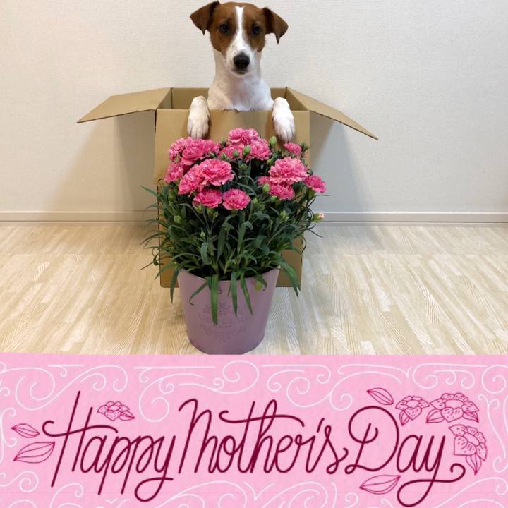 4f842e78 50aa 4bfd 830d 2ad43b0a27aa 1589096685262