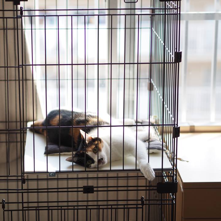 4f844339 e34f 447b 86c6 a67af63706fb 1561024995893