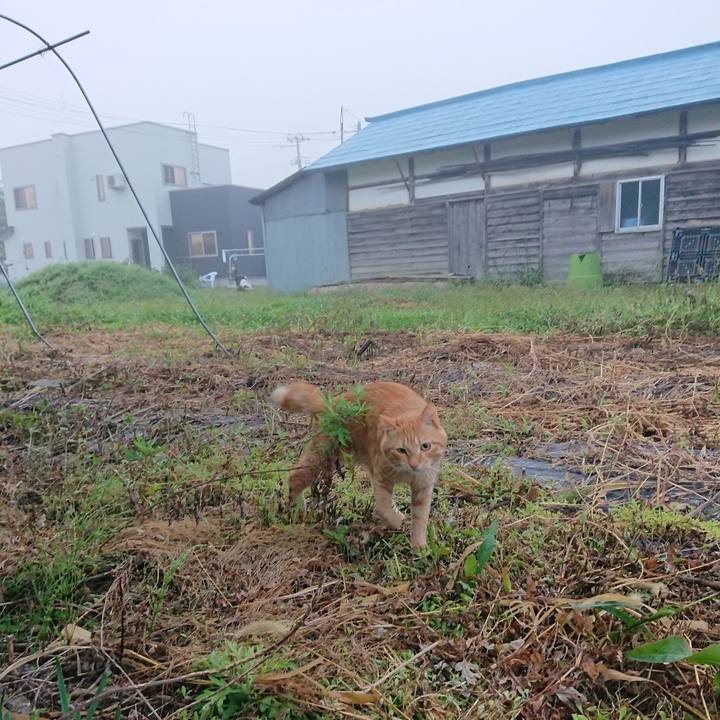 4f844c04 9395 45f6 adfa 6d046aca4177 1663364240415