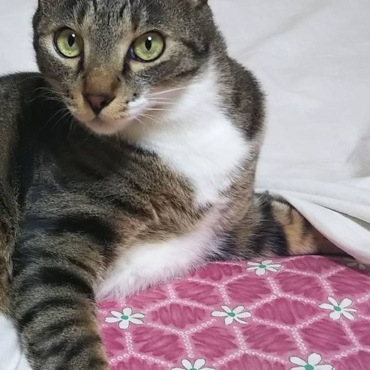 4f847c79 f5c8 4e09 8d27 b45908e48f94 1605923369130