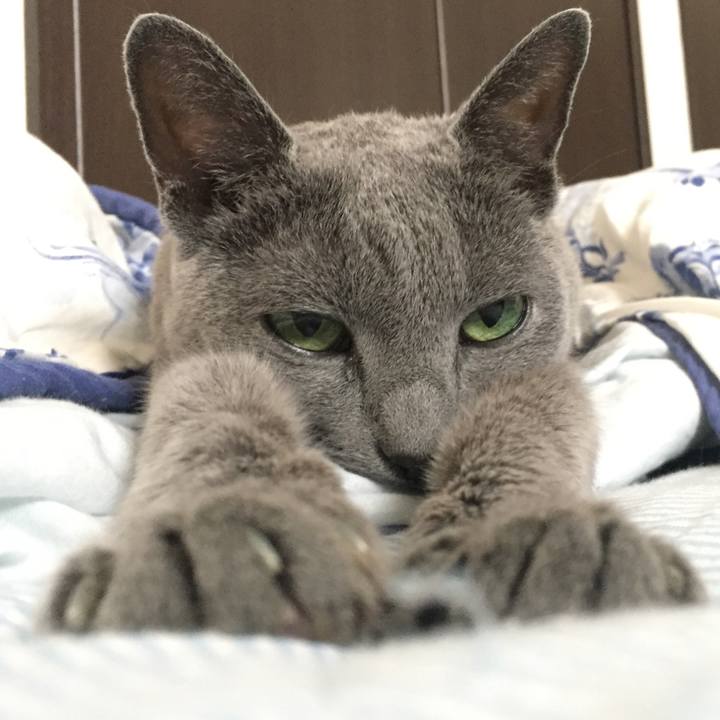 4f849174 a524 438b ae33 c9c4065e88fe 1538863185334