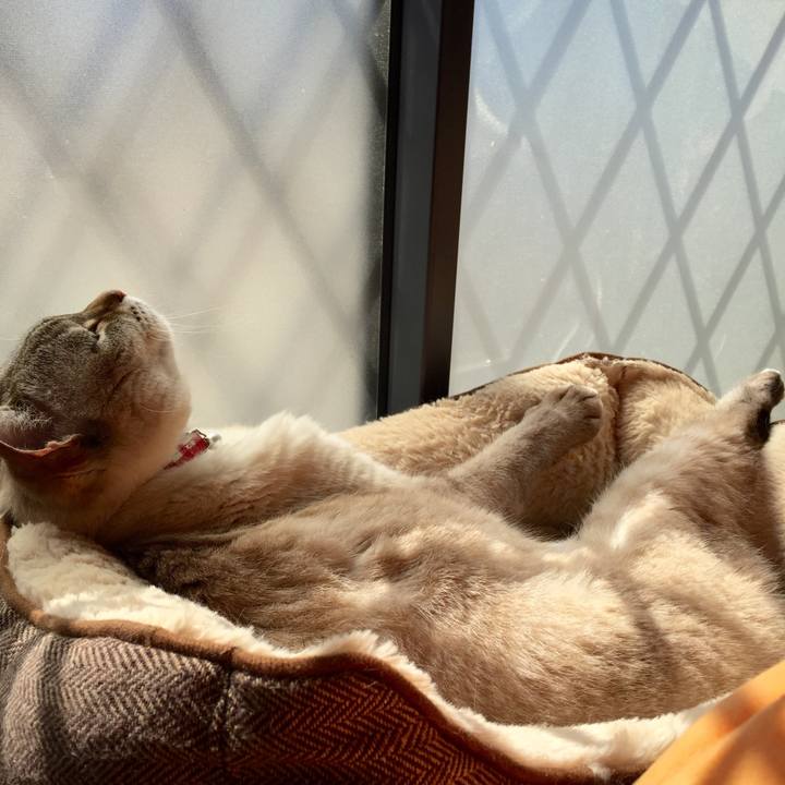 4f84b8b3 6377 4faf bcba ca3fd097a302 1520653765461