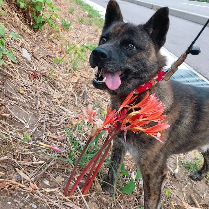 4f84b97b 9cab 42f1 a837 660b7211ba15 1534758865349