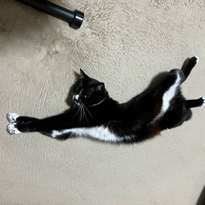 4f84d275 8bc8 4bfe a0e7 734b803b99a7 1718595352909