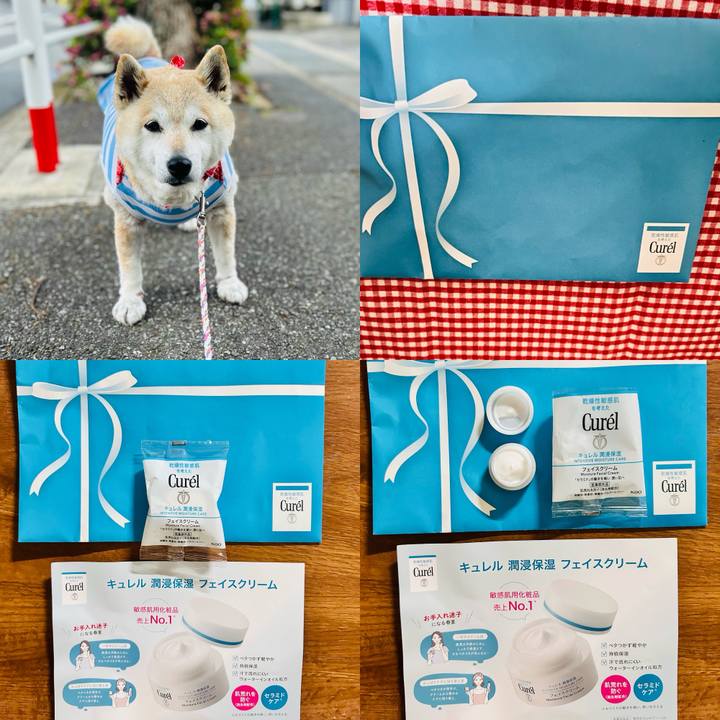 4f8516d7 d8d9 4629 a453 aa50f4849474 1748607351160