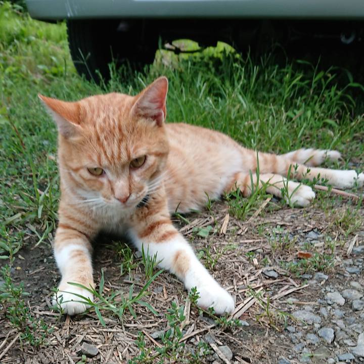 4f851fcb 5ab3 4173 bdd2 436ac1ba5a59 1564391410831