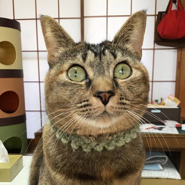 4f8586ec cf13 4e99 9032 4dc4b880daf0 1640390606224