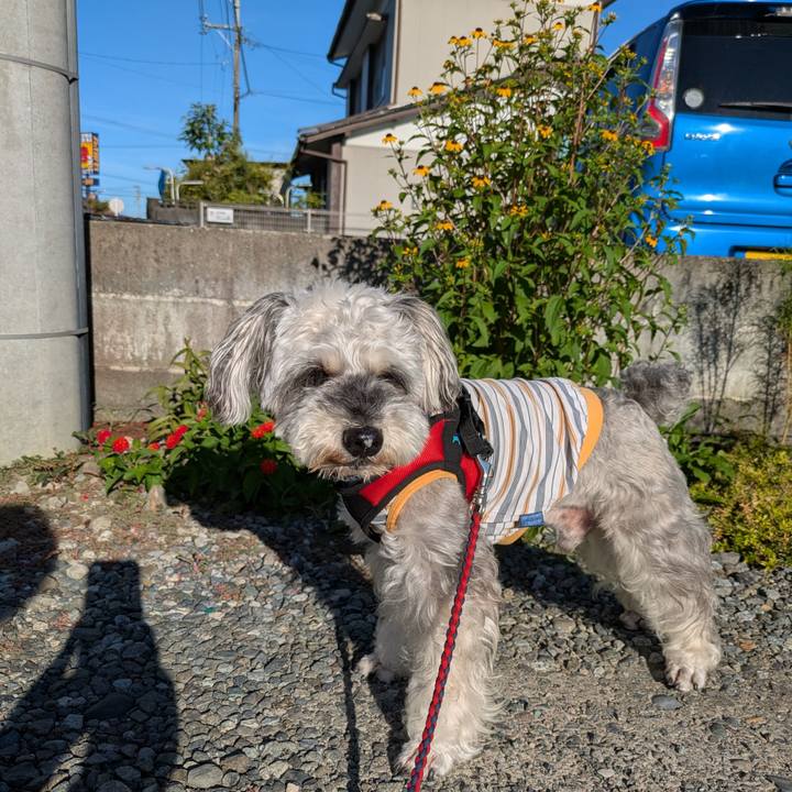 4f85a80f 02ac 46ca 8b40 705d51adc725 1753922837360