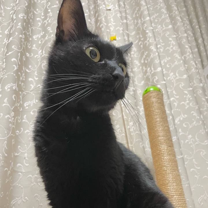 4f85c644 cc37 4235 b7d2 563075582e59 1651412683652