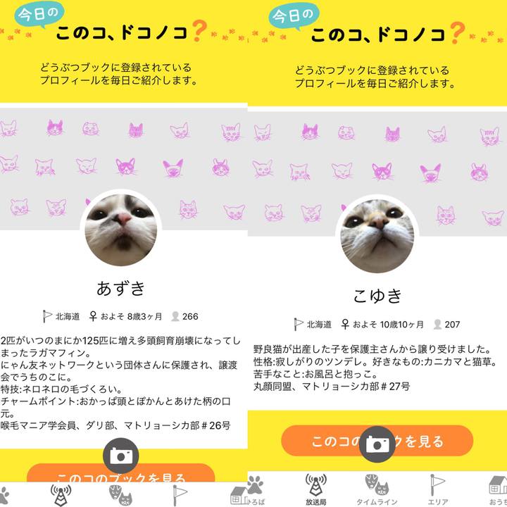 4f85de13 fcc1 4640 bed8 242b76cff5c4 1551351846992