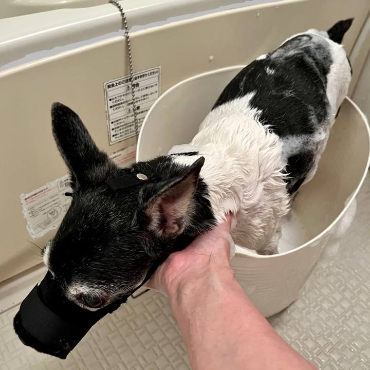 4f85f4de b761 49c4 8d97 9c216638c6f0 1653705082452