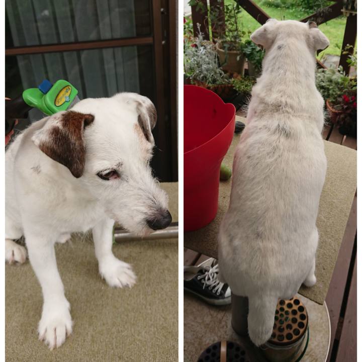 4f85fb12 2620 4561 92fb 36269b0ec65b 1562468879625