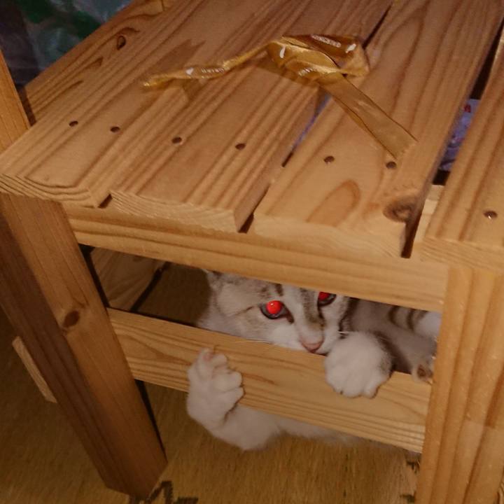 4f861053 53a5 49d5 bd0f d026b387d449 1534690800261