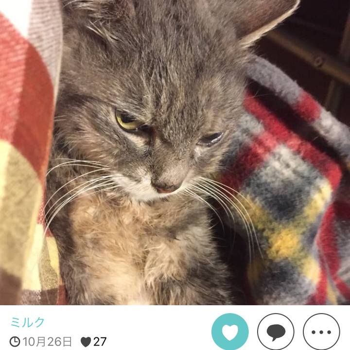 4f86fede af6b 414e 92f1 dc9b25a68e6e 1511691085456