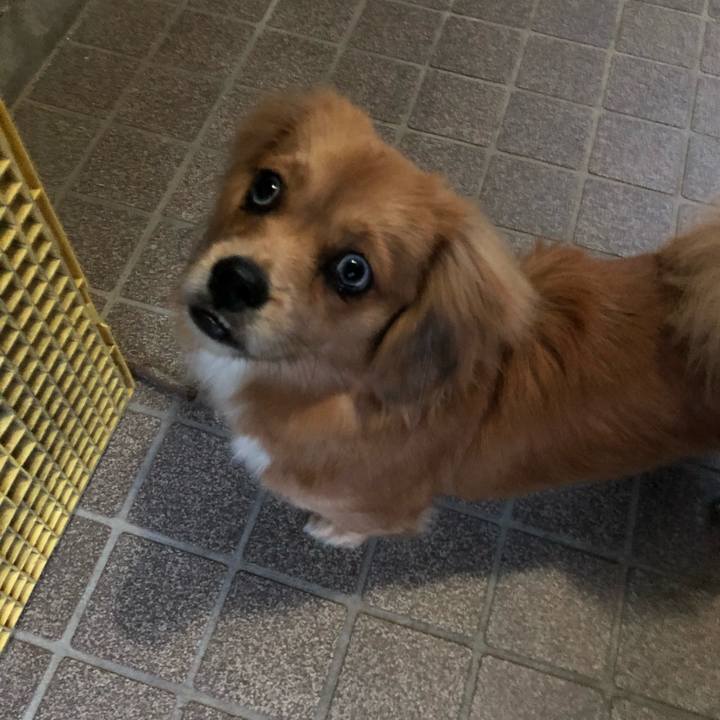 4f871657 72a3 4186 98e5 09bdd8a3b9a2 1510609926446