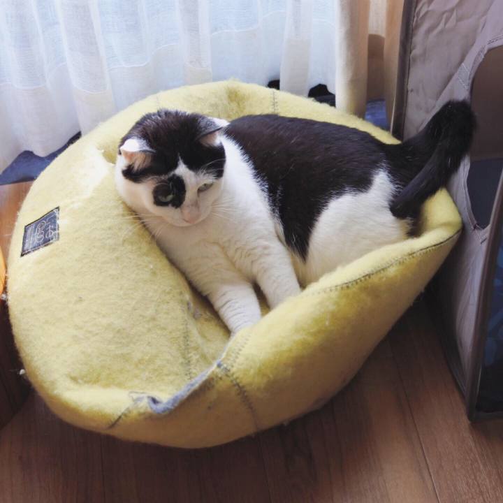 4f872f19 4026 478b 8c62 ddefdb976a1a 1558958748831