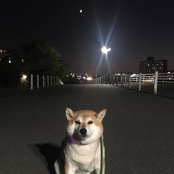 4f874eec 609b 4c18 85f4 a45eb38e2566 1603189212683