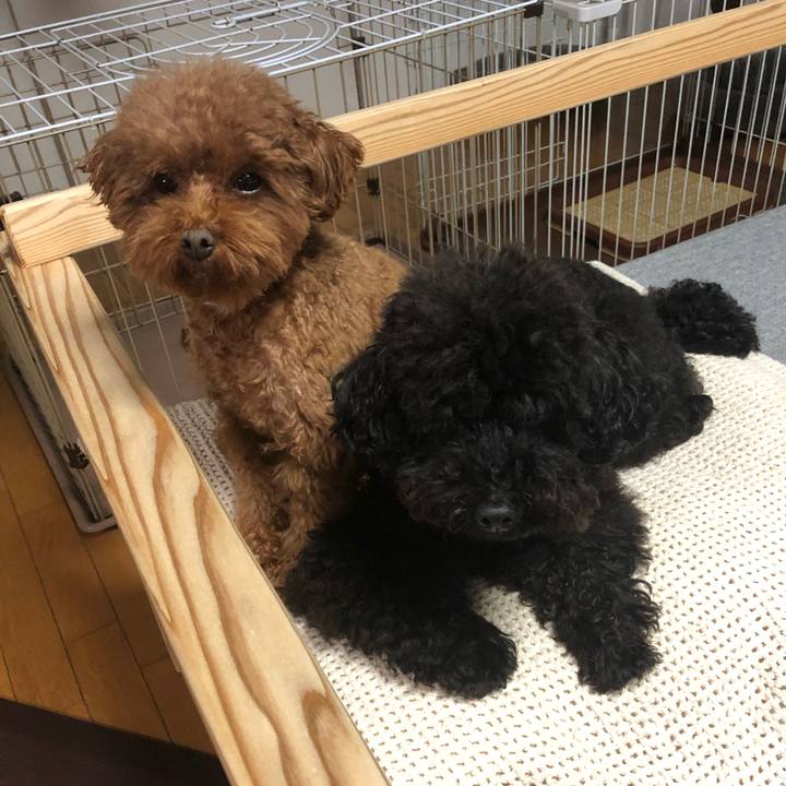 4f876820 2d5b 4b2b b2bc 45de065f4890 1573224019780