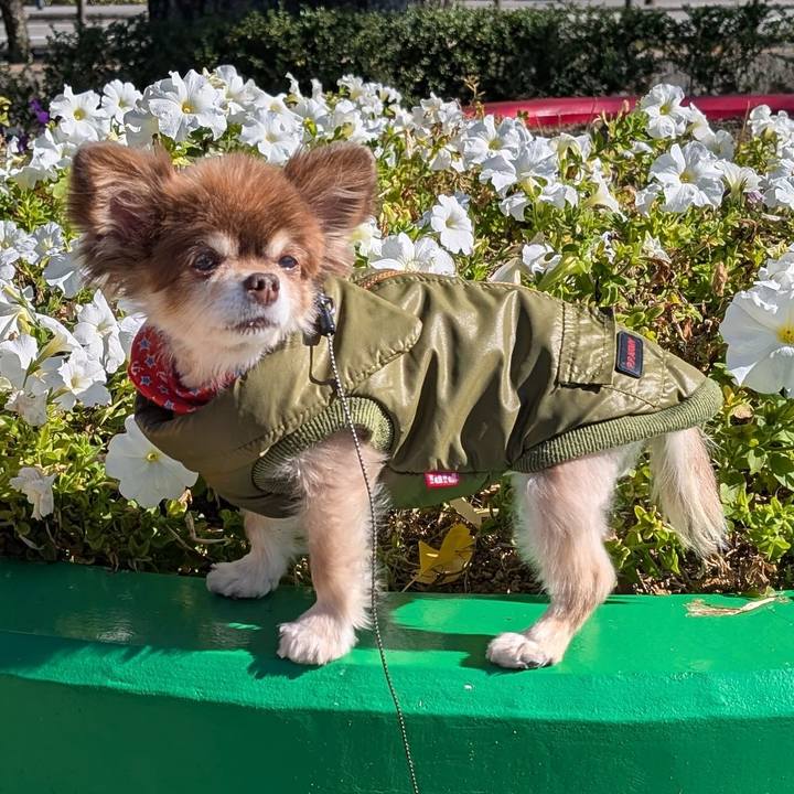 4f878d44 a5da 48ee 8045 2357b0d66024 1764026887512