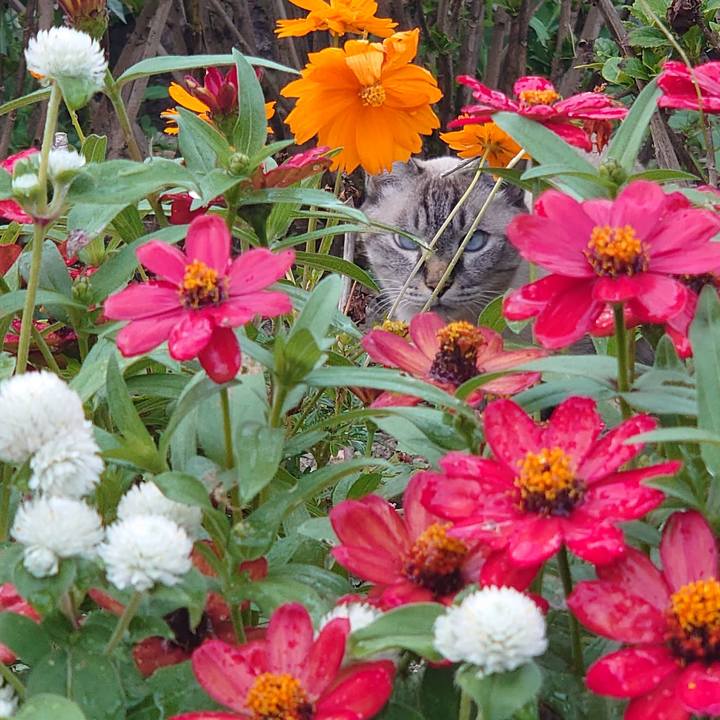 4f87b4c1 6946 4900 a887 e7f827ff5d4b 1696580350811