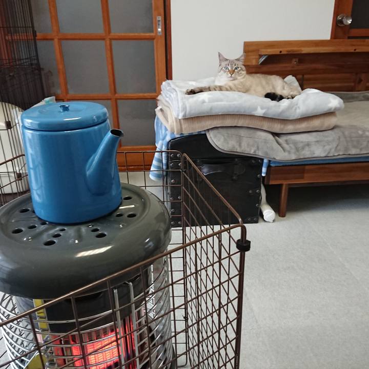 4f87c1b3 ac35 4979 a575 bd973cc14e51 1574473863429