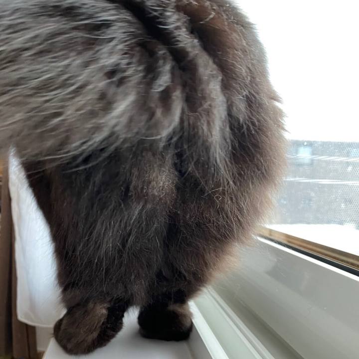 4f87d786 53a9 4af2 9511 f199da741e8a 1580980889581